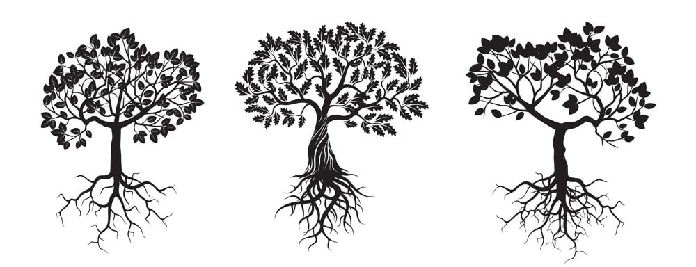 Tree grounding roots